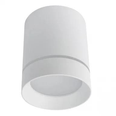Накладной светильник ARTE Lamp A1949PL-1WH
